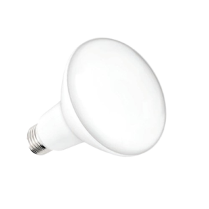 BR LED BULBS (10W, 20W)