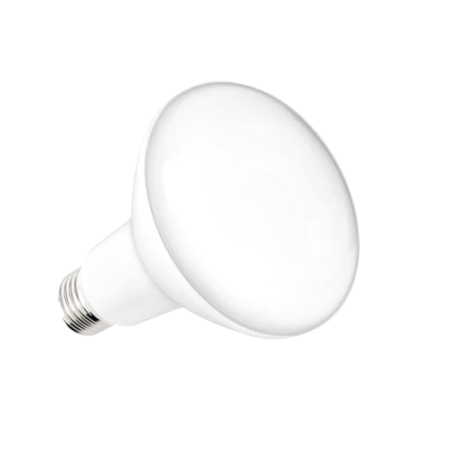 BR LED BULBS (10W, 20W)