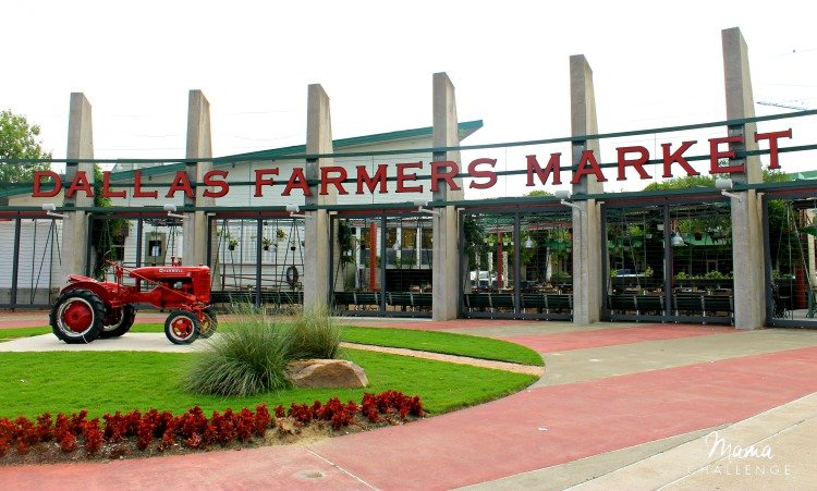 Dallas-Farmers-Market-at-Dallas